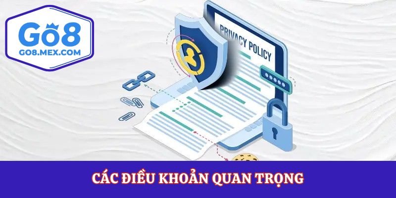 Các điều khoản quan trọng trong chính sách sử dụng